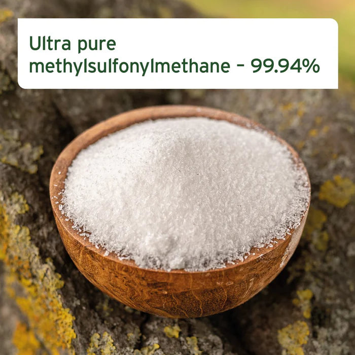 MSM Powder for Dogs & Cats 300g