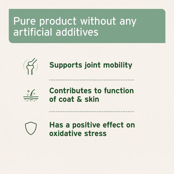 MSM Powder for Dogs & Cats 300g