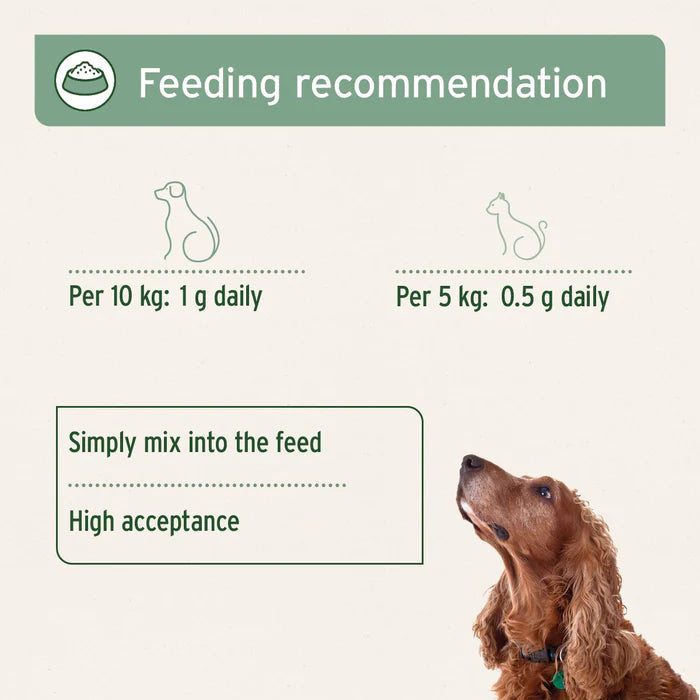 MSM Powder for Dogs & Cats 300g