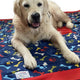NEW PickPocket Foraging Blanket
