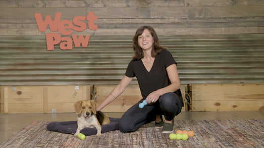 West Paw Zogoflex Rumpus Chew Toy