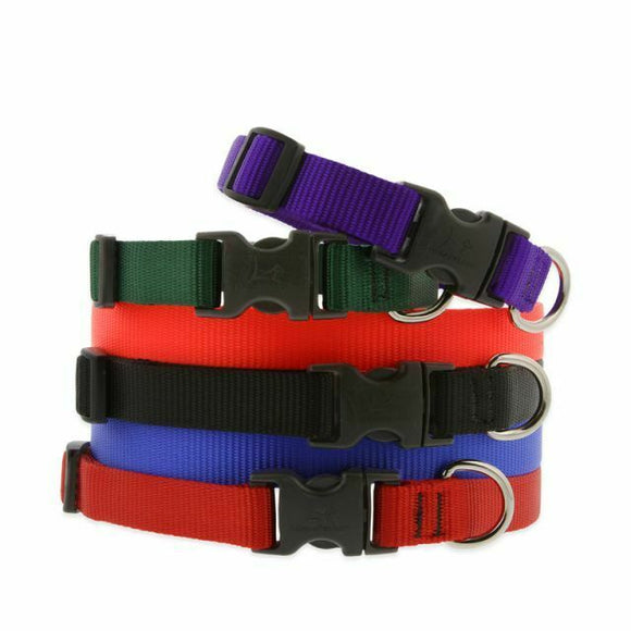 Lupine Basics Dog Collars for XX-Small to X-Large Dogs - rovers-kit