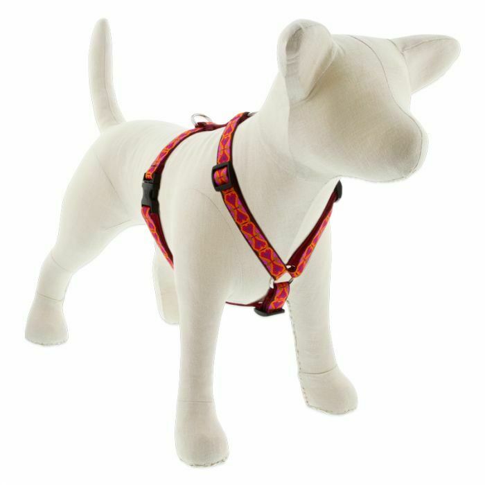 Lupine roman harness store
