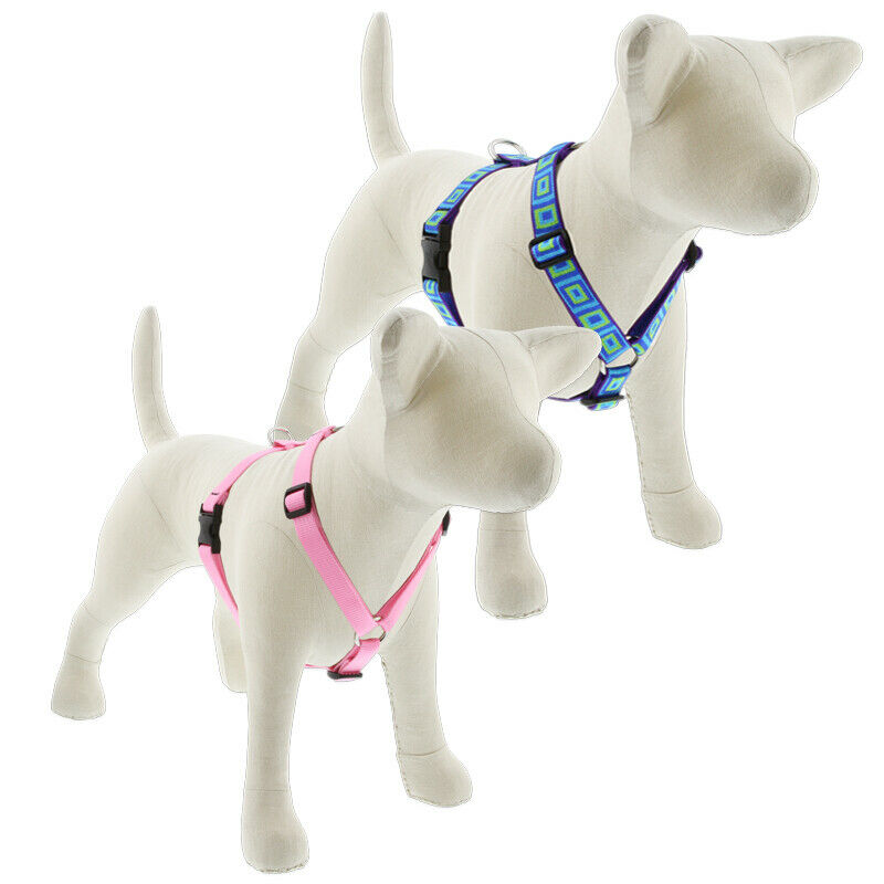 Lupine Originals Roman Harnesses  for XXS - XL Dogs - rovers-kit