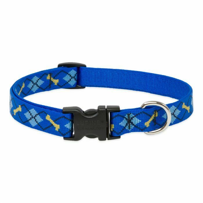 Lupine Originals Dog Collars for Small Dogs - rovers-kit