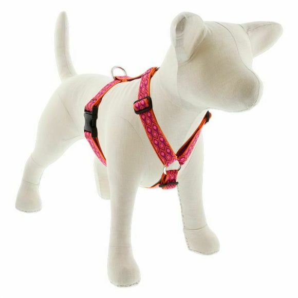 Lupine Originals Roman Harnesses  for XXS - XL Dogs - rovers-kit