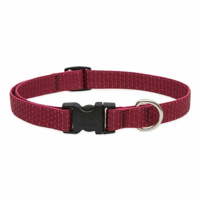 Lupine ECO Recycled Dog Collars for X-Small to X-Large Dogs - rovers-kit