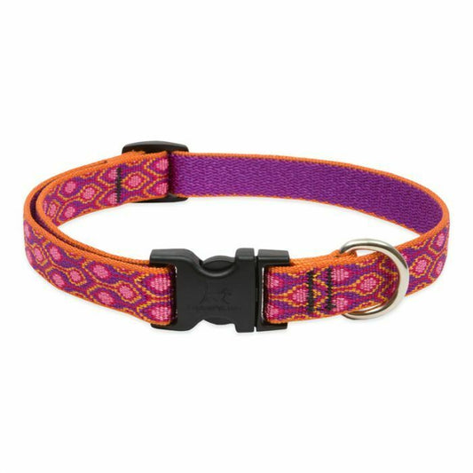 Lupine Originals Dog Collars for Small Dogs - rovers-kit