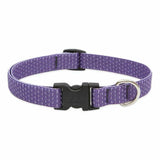 Lupine ECO Recycled Dog Collars for X-Small to X-Large Dogs - rovers-kit