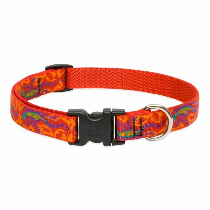 Lupine Originals Dog Collars for Small Dogs - rovers-kit