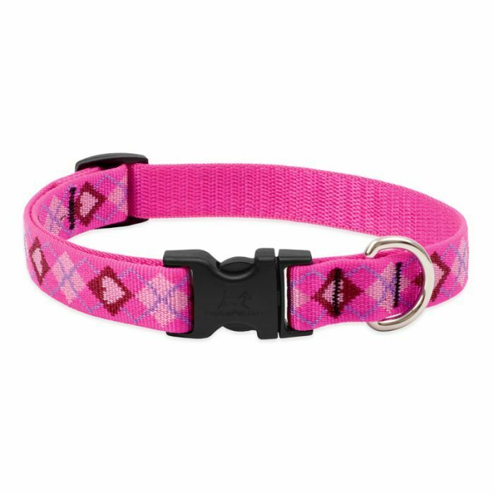 Lupine Originals Dog Collars for Small Dogs - rovers-kit