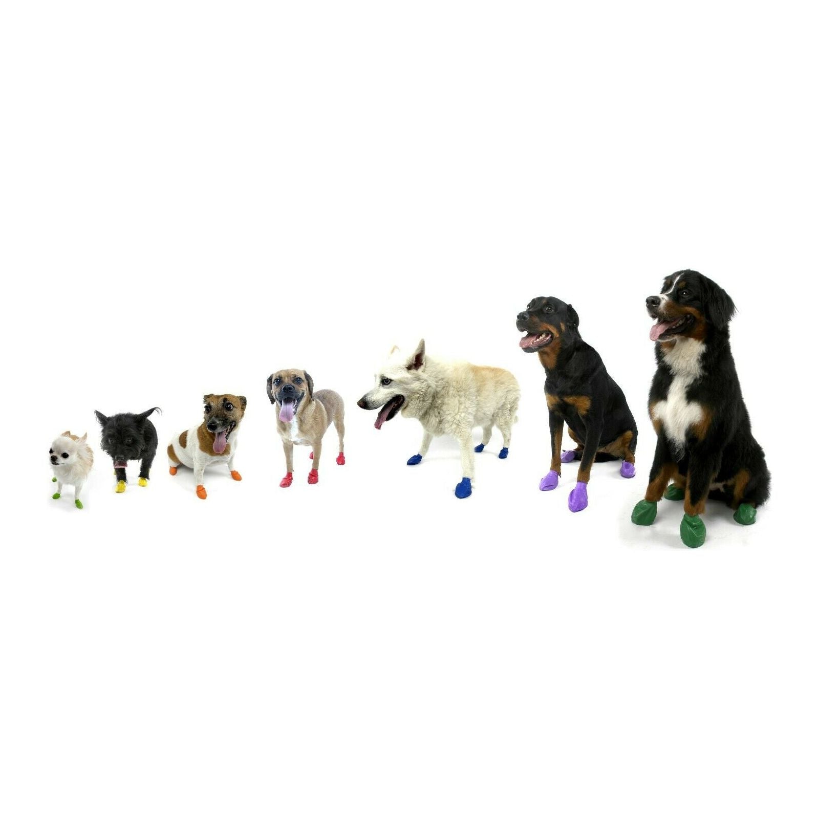Pawz Disposable Dog Boots - For Tiny to Extra Large Dogs - rovers-kit