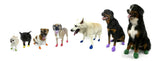 Pawz Disposable Dog Boots - For Tiny to Extra Large Dogs - rovers-kit