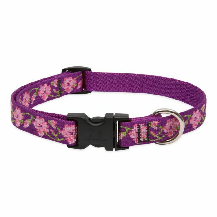 Lupine Originals Dog Collars for Small Dogs - rovers-kit