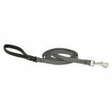 Lupine ECO Padded Handle Dog Leads 6 foot length - rovers-kit