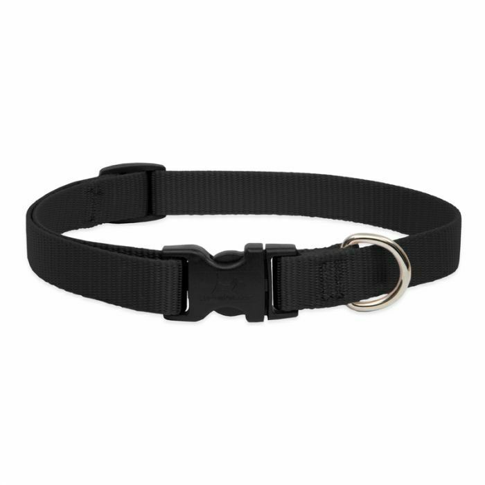 Lupine Basics Dog Collars Rovers Kit