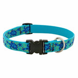 Lupine Originals Dog Collars for Small Dogs - rovers-kit