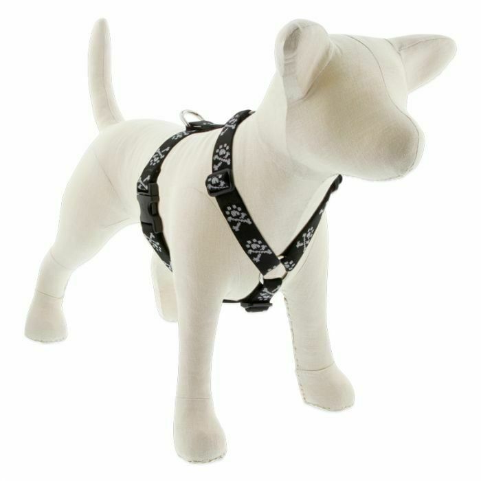 Lupine Originals Roman Harnesses  for XXS - XL Dogs - rovers-kit