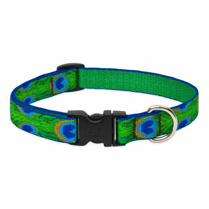 Lupine Originals Dog Collars for Small Dogs - rovers-kit