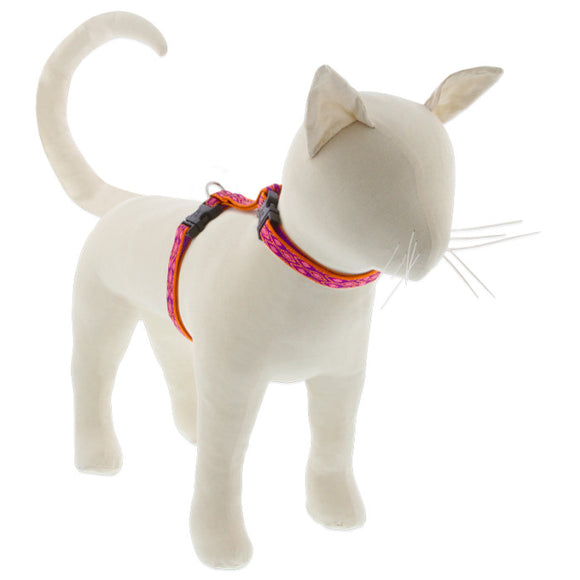 H-Style Harnesses for Cats