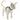 H-Style Harnesses for Cats