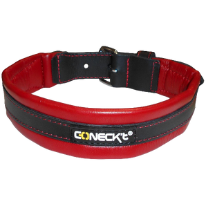 Two Tone Leather Dog Collar in red