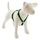 Lupine Roman Harnesses