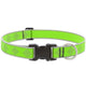 Lupine Reflective Dog Collars
