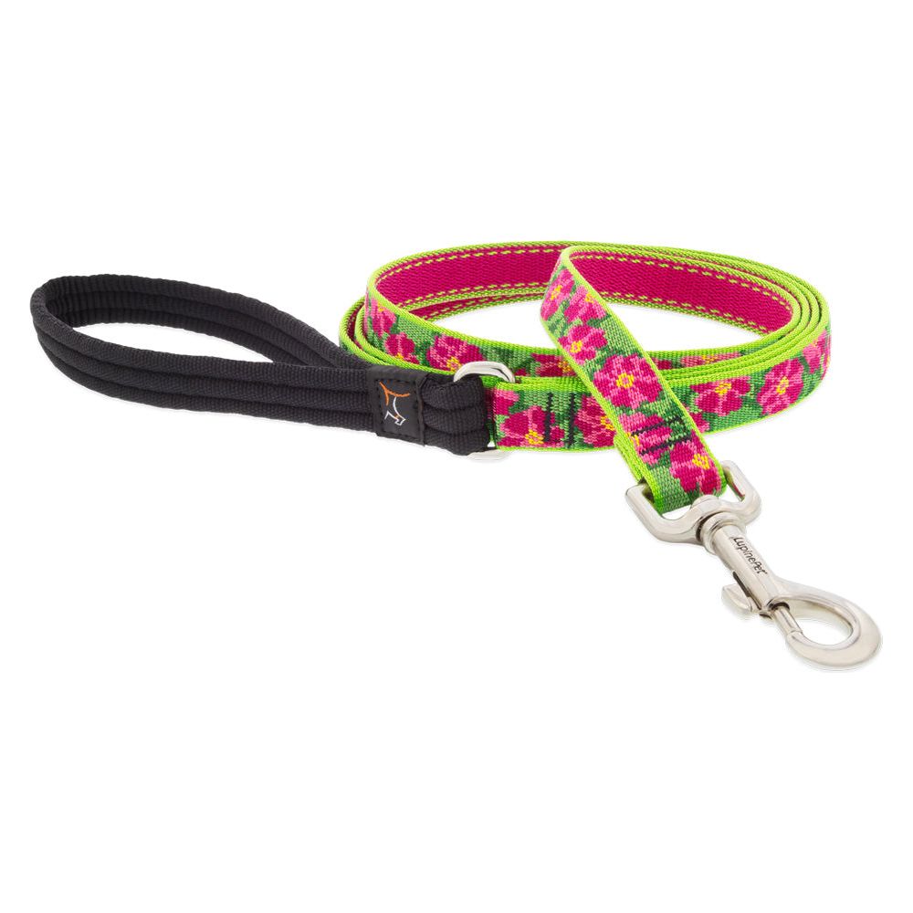 Lupine dog collars hotsell and leads uk