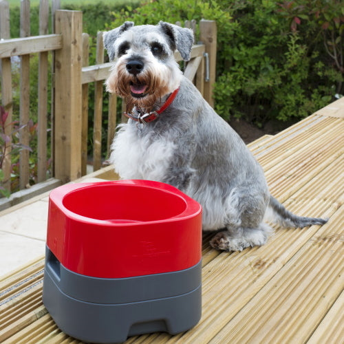 PetWeighter Elevated Dog Bowl