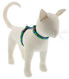 H-Style Harnesses for Cats